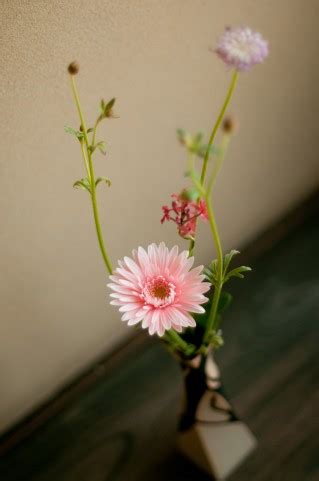 風水 桃花|夫婦の愛情運アップには花瓶をつかう方法があります 